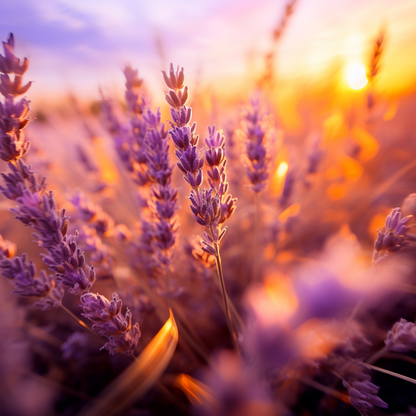 Tom Ford "Beau De Jour" EDP Sample Only NOT Full Bottle